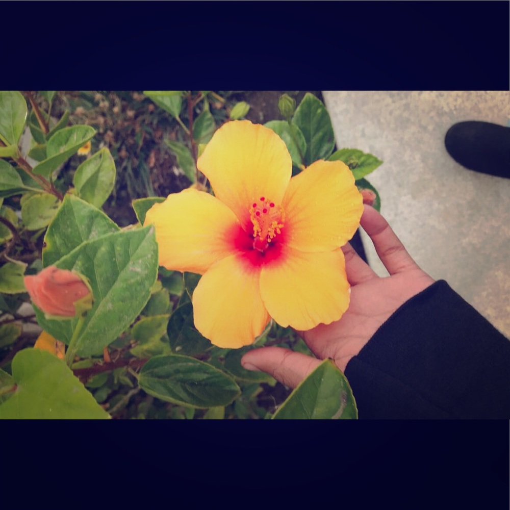 Meet your Posher, Mariah